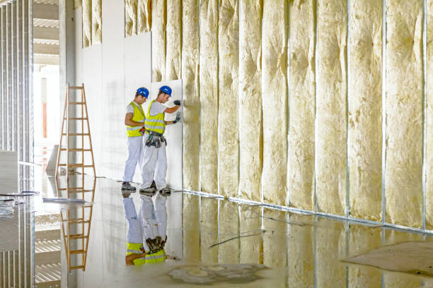 Best Insulation Maintenance and Repair in Aptos Hills Larkin Valley, CA